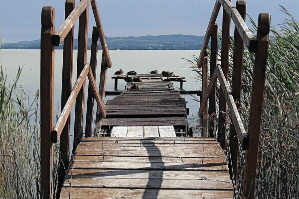 Balaton Európa Kultúrális Tava