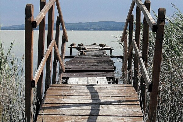 Balaton Európa Kulturális Tava