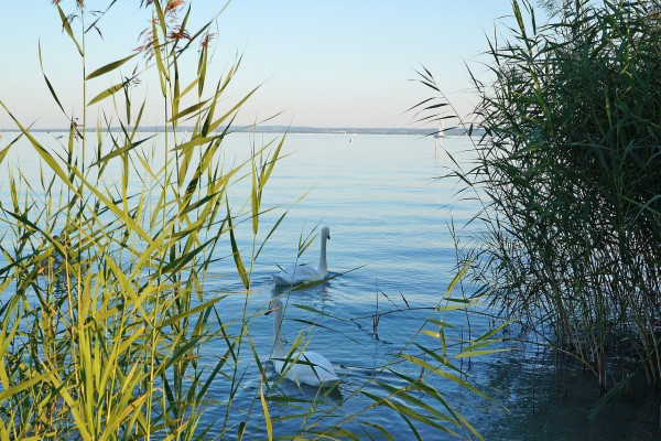 Balaton Kiemelt Térségi Klímastratégia