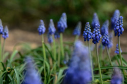 Balaton Partnerségi Napok 2023