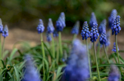 Balaton Partnerségi Napok 2026.