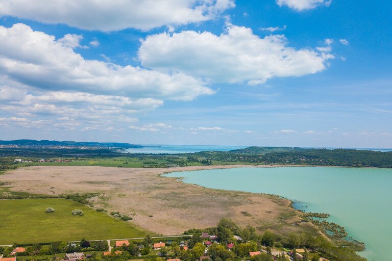 BFT ülés valamint online szakmai nap