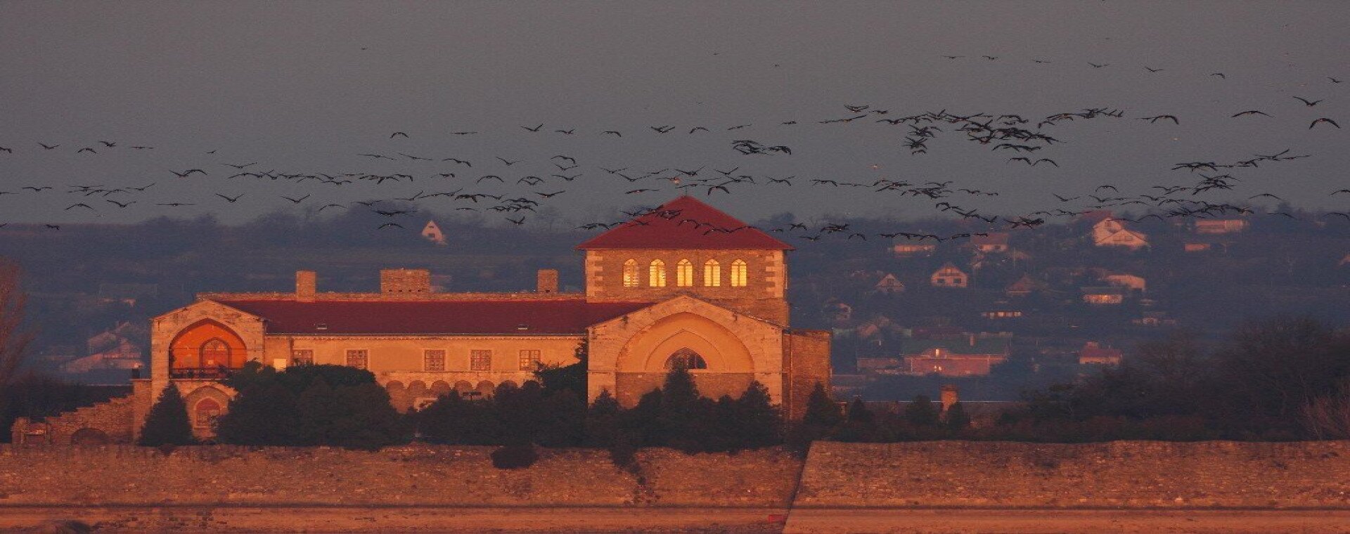 Biodiverzitás Fővárosa