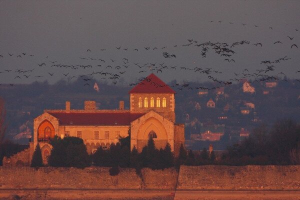 EUROPEAN CAPITALS OF BIODIVERSITY
