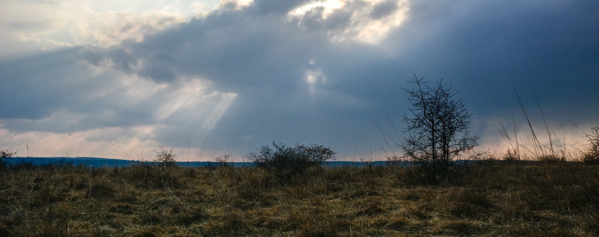 Föld Napi Konferencia a Balaton Régióban