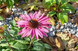 Living Gardens Projekt Zárórendezvénye