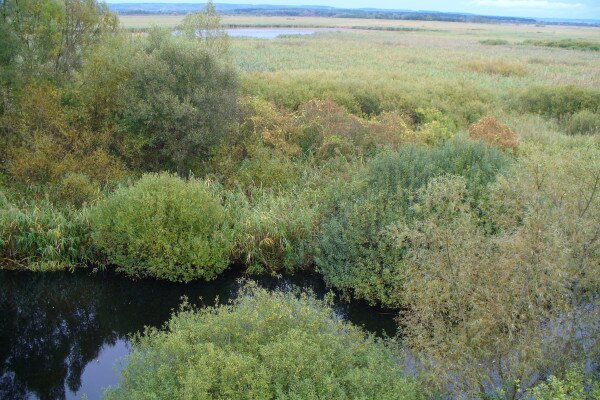 Natura 2000 Területek Fenntartási Terveinek Készítése