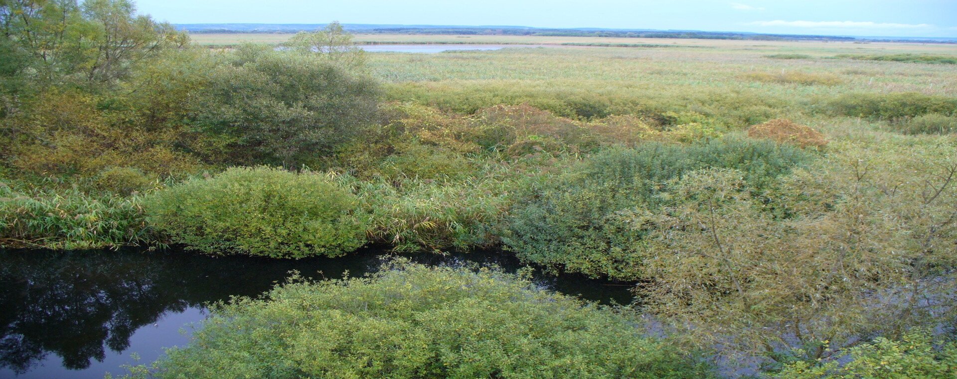 Natura 2000 Területek Fenntartási Terveinek Készítése