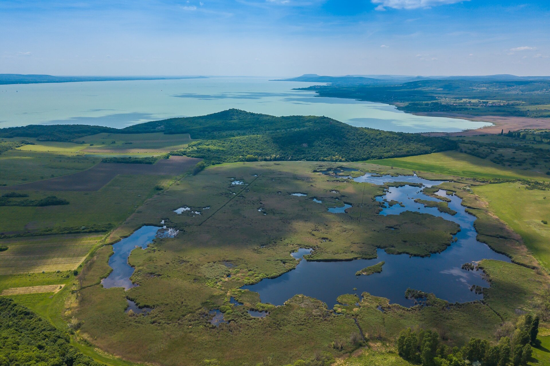 Natural Lake Balaton! Healthy environment, clean lake!