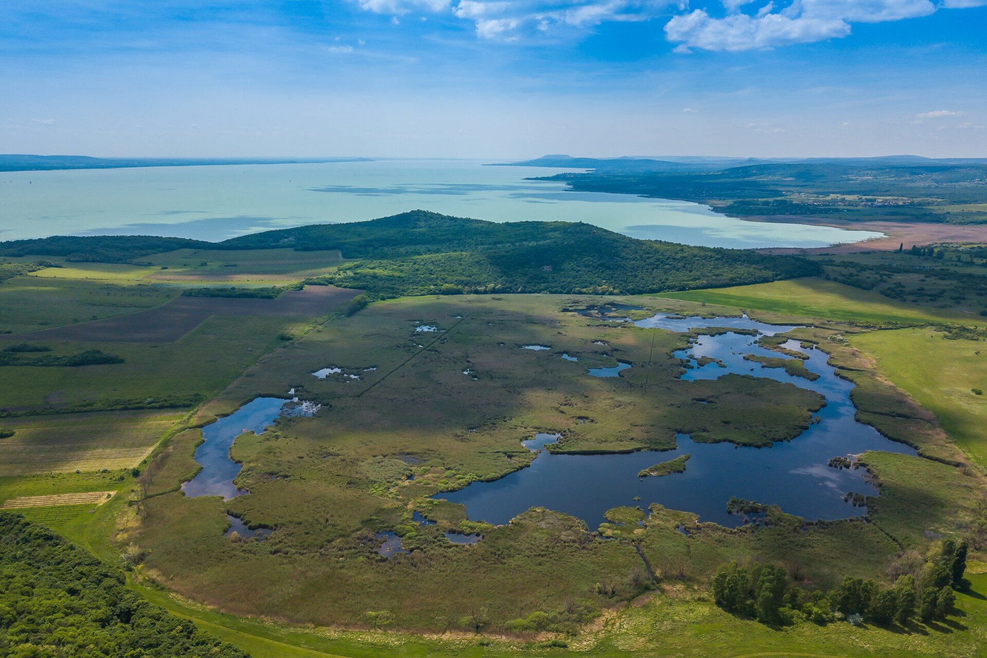 Natural Lake Balaton! Healthy environment, clean lake!