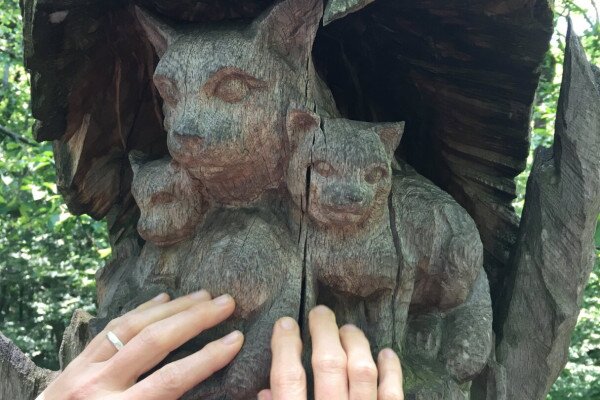 Nature Without Barriers