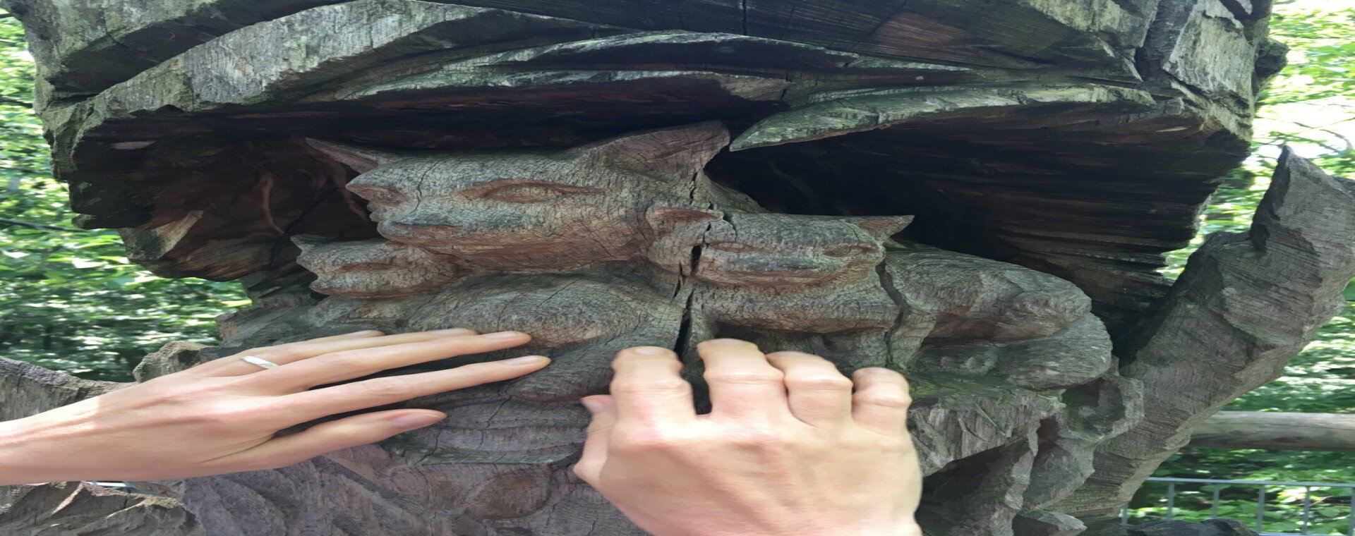 Nature Without Barriers