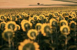 Szemléletformáló rendezvények 2024