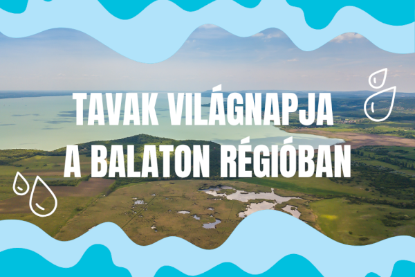Tavak Világnapja a Balatonnál