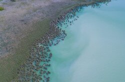 Víz Világnapi Konferencia a Balaton Régióban