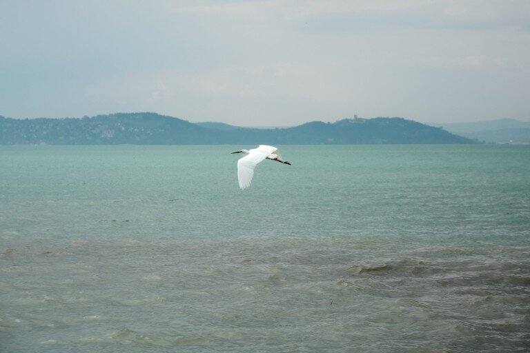 Víz Világnapi Konferencia a Balaton Régióban