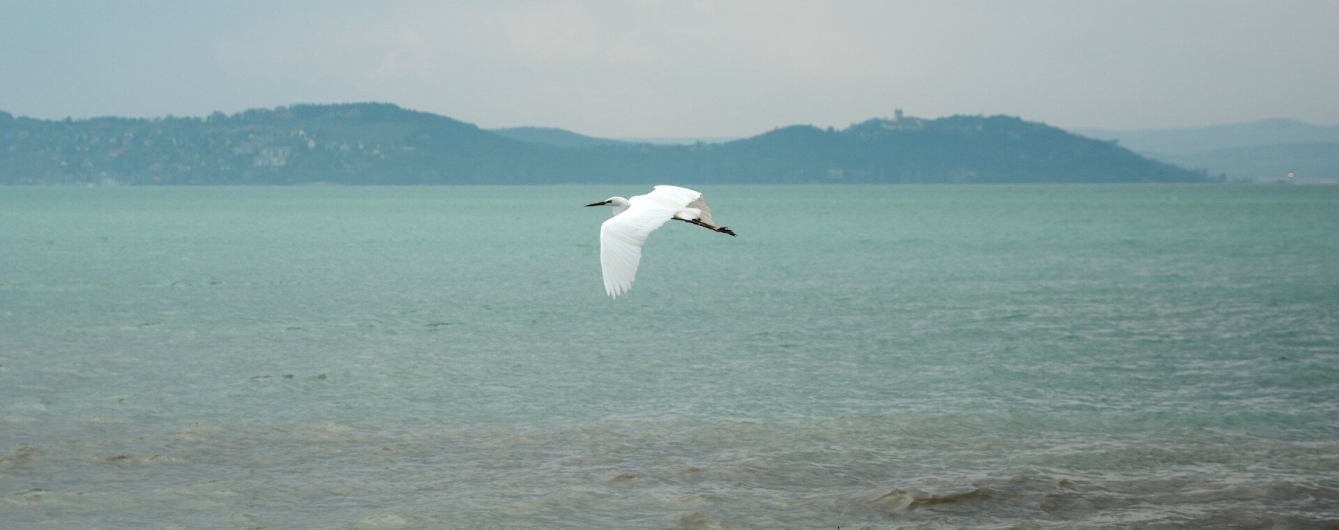 Víz Világnapi Konferencia a Balaton Régióban